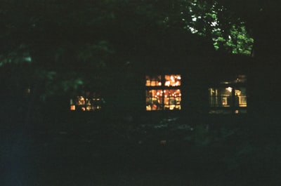 夜间棕色木屋附近的绿树